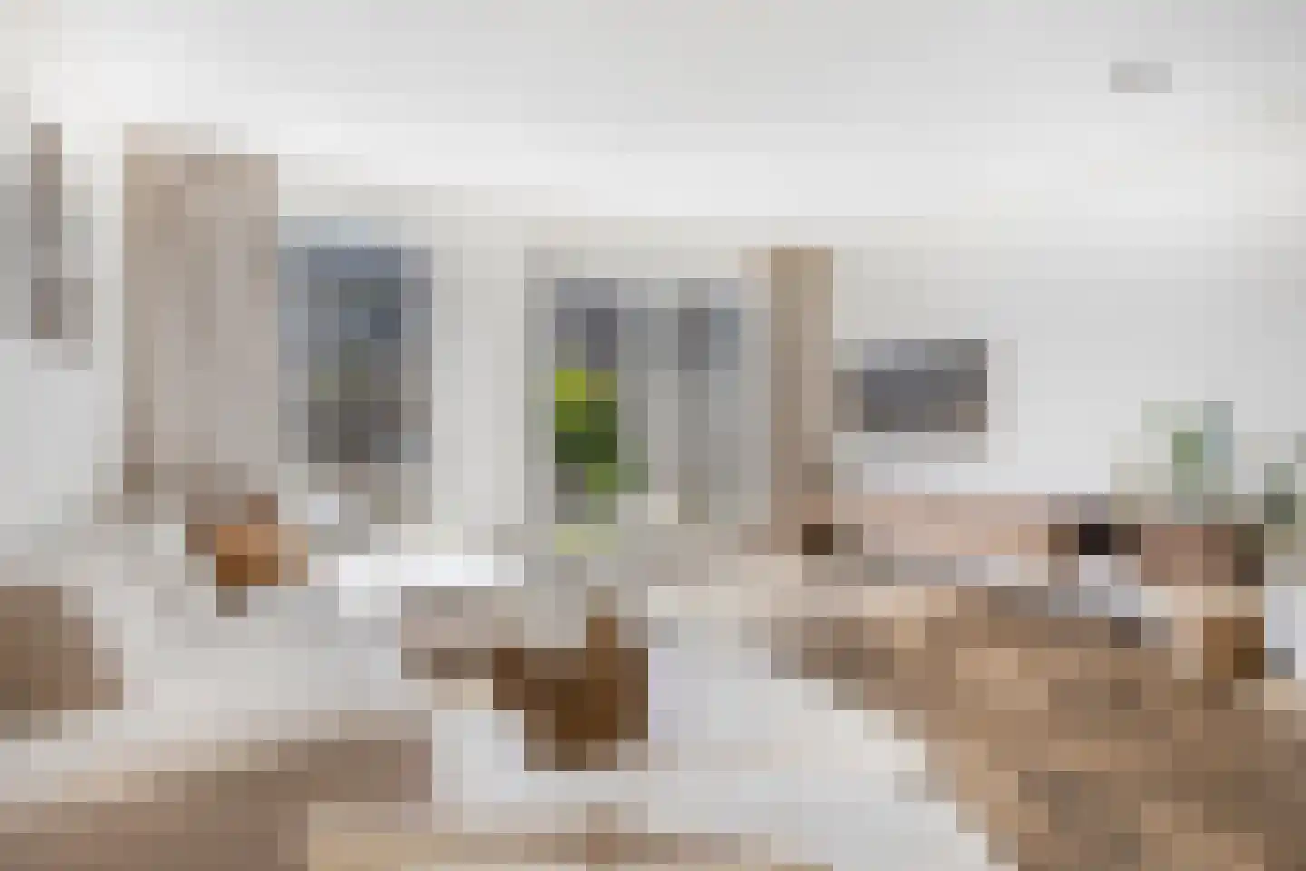 Hark 8 Hendrik-Ido-Ambacht thumbnail 10
