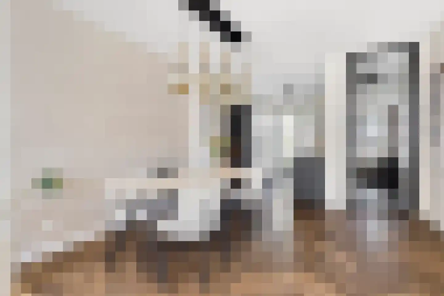 Hark 8 Hendrik-Ido-Ambacht thumbnail 13