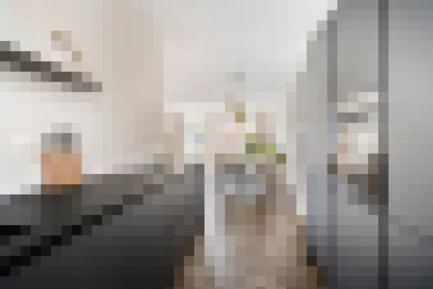 Hark 8 Hendrik-Ido-Ambacht thumbnail 15