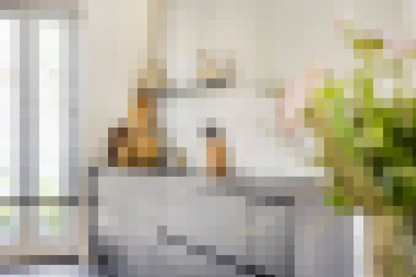 Hark 8 Hendrik-Ido-Ambacht thumbnail 16