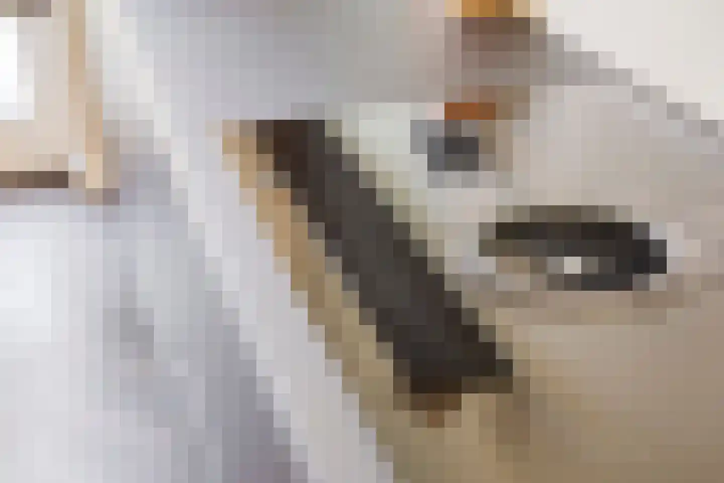 Hark 8 Hendrik-Ido-Ambacht thumbnail 17