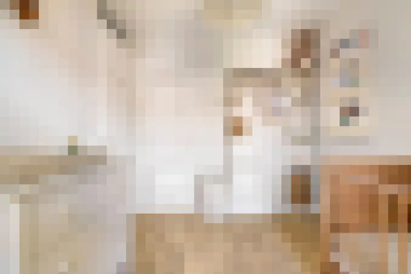 Hark 8 Hendrik-Ido-Ambacht thumbnail 23