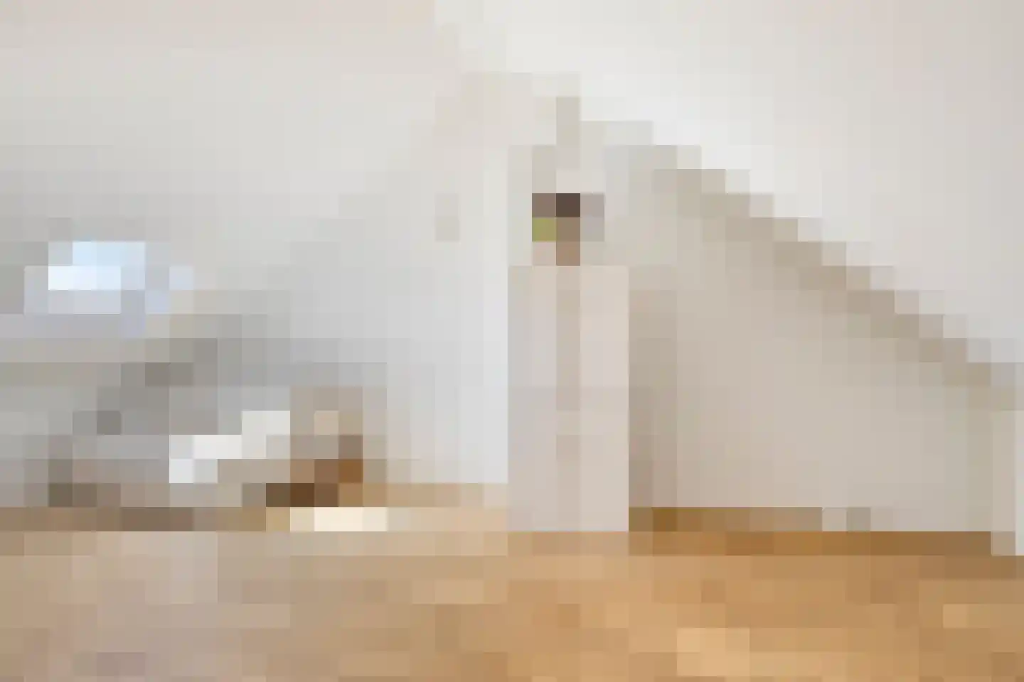 Hark 8 Hendrik-Ido-Ambacht thumbnail 25