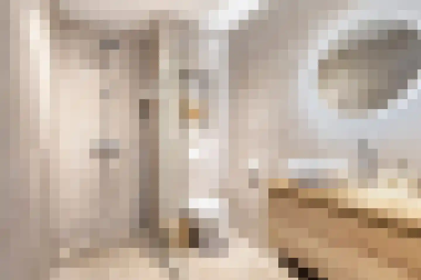 Hark 8 Hendrik-Ido-Ambacht thumbnail 4