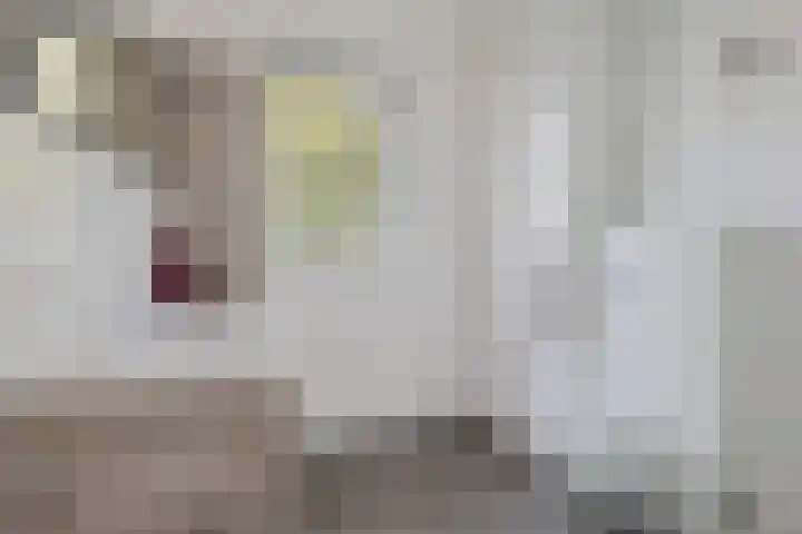 Harke Kuipersweg 5 Nietap thumbnail 12