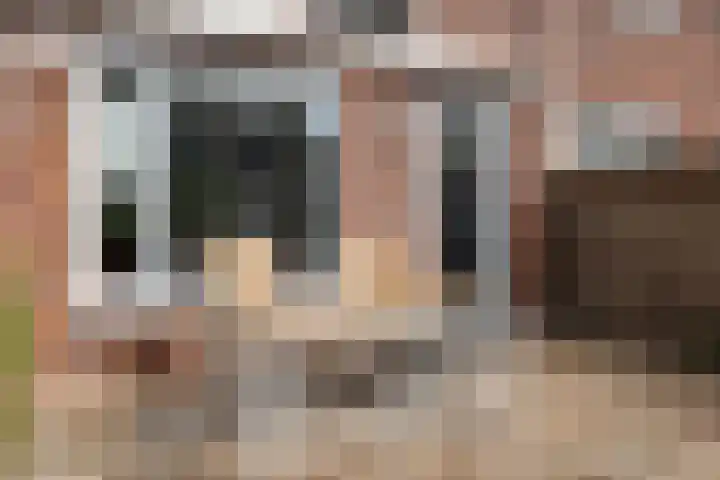 Harke Kuipersweg 5 Nietap thumbnail 22