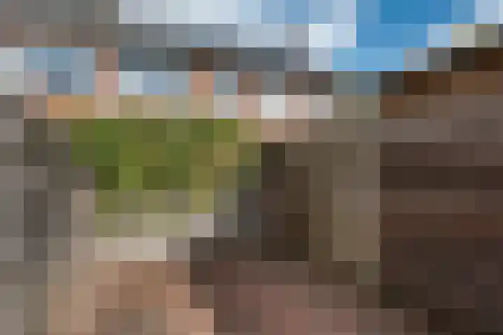 Harke Kuipersweg 5 Nietap thumbnail 25