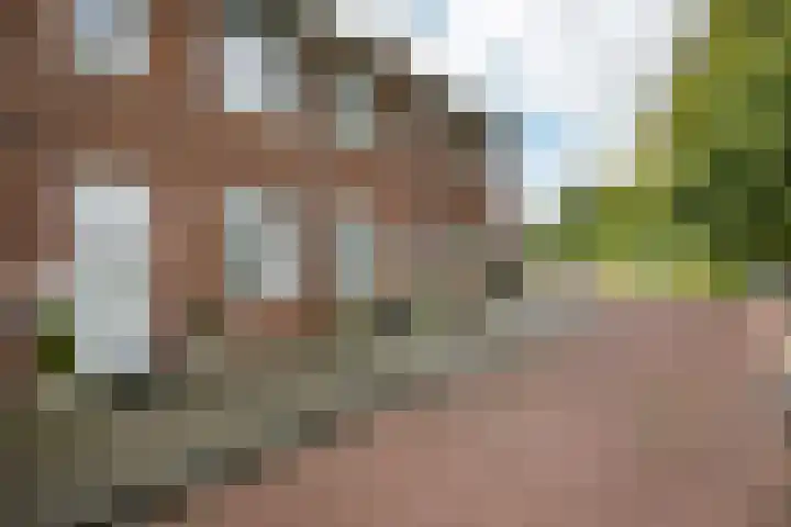 Harke Kuipersweg 5 Nietap thumbnail 27