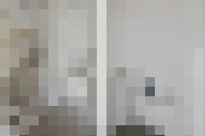 Harke Kuipersweg 5 Nietap thumbnail 5