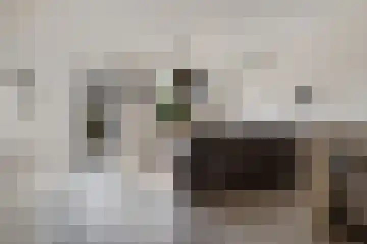 Harke Kuipersweg 5 Nietap thumbnail 6