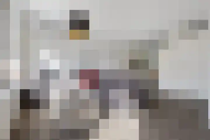 Harke Kuipersweg 5 Nietap thumbnail 7