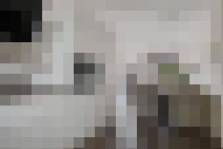 Harke Kuipersweg 5 Nietap thumbnail 9