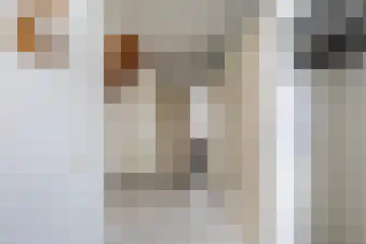 Harkemastate 21 Leeuwarden thumbnail 11