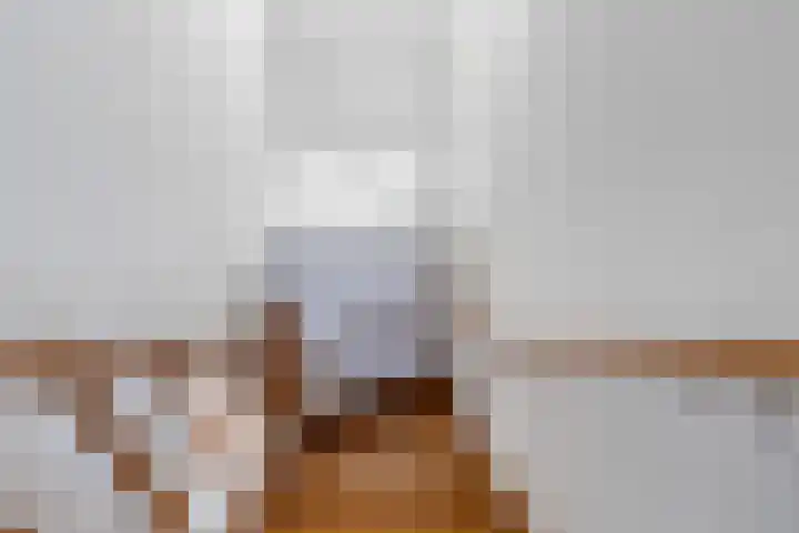 Harkemastate 21 Leeuwarden thumbnail 24