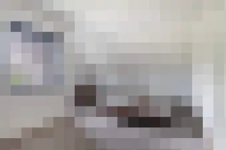 Harkemastate 21 Leeuwarden thumbnail 26