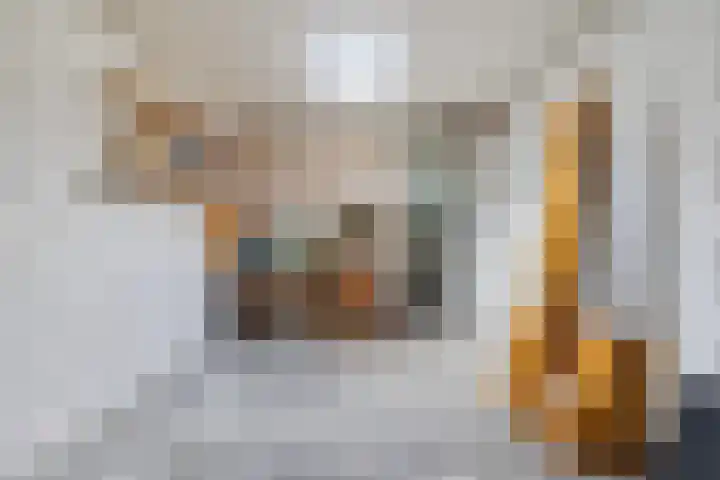Harkemastate 21 Leeuwarden thumbnail 35