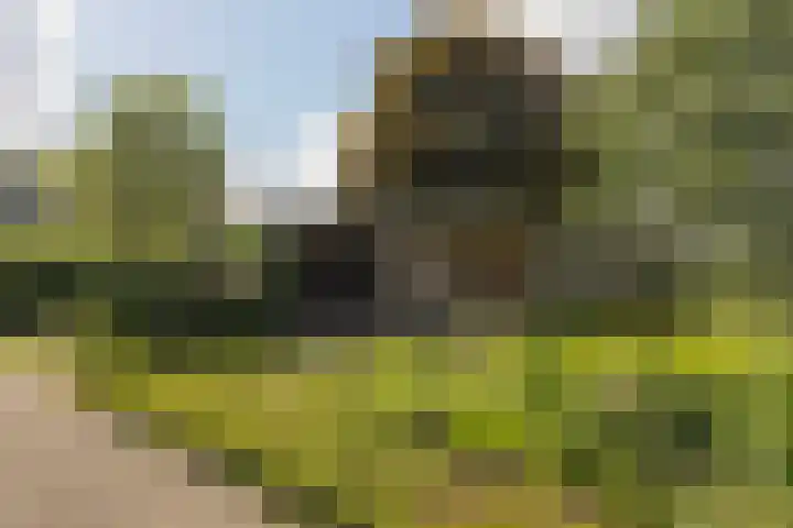 Harkemastate 21 Leeuwarden thumbnail 39