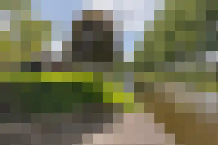 Harkemastate 21 Leeuwarden thumbnail 41