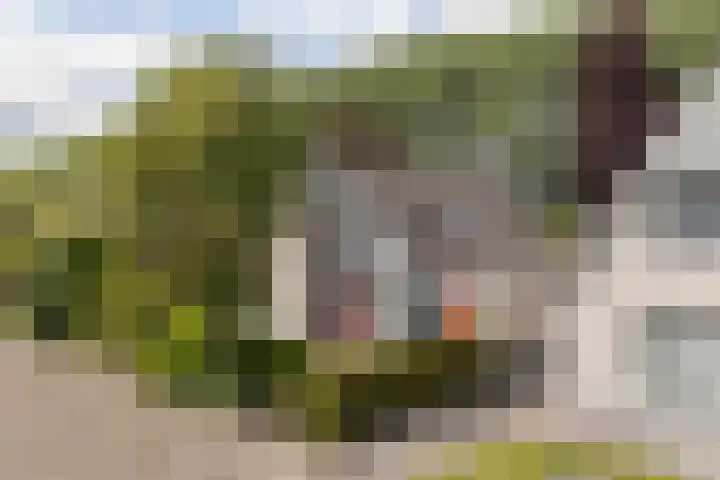 Harkemastate 21 Leeuwarden thumbnail 44