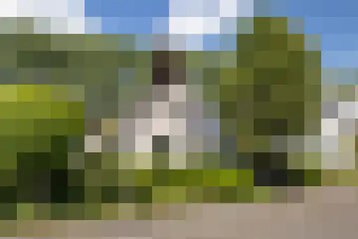Harkemastate 21 Leeuwarden thumbnail 5