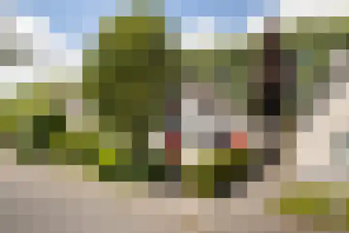 Harkemastate 21 Leeuwarden thumbnail 6