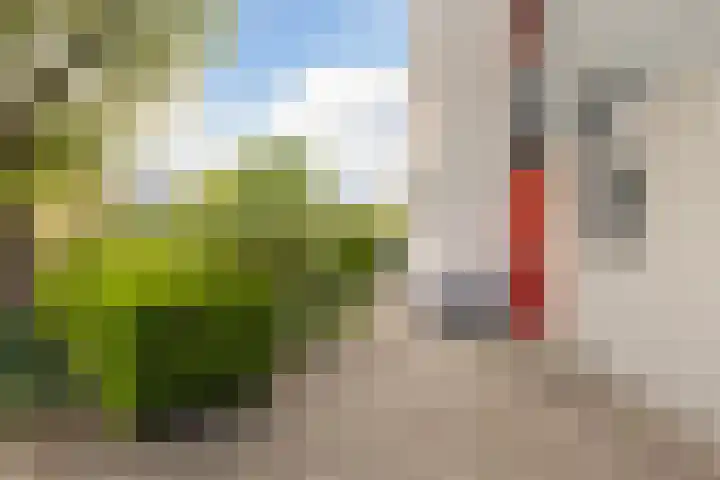 Harkemastate 21 Leeuwarden thumbnail 7