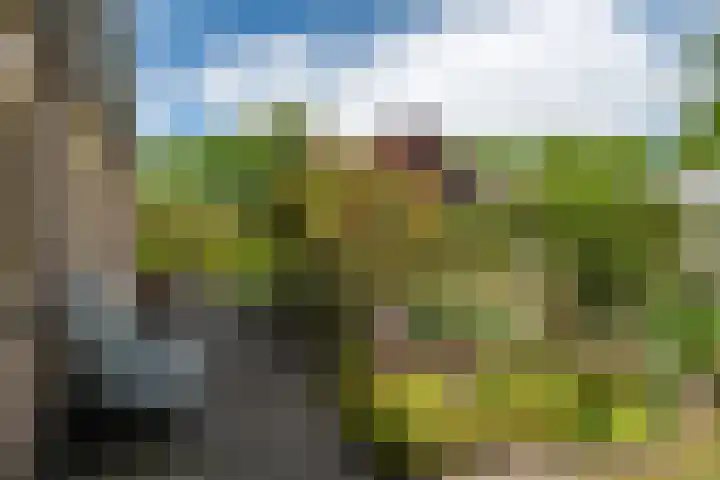 Harkemastate 6 Leeuwarden thumbnail 38