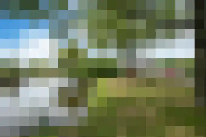 Harkemastate 6 Leeuwarden thumbnail 47