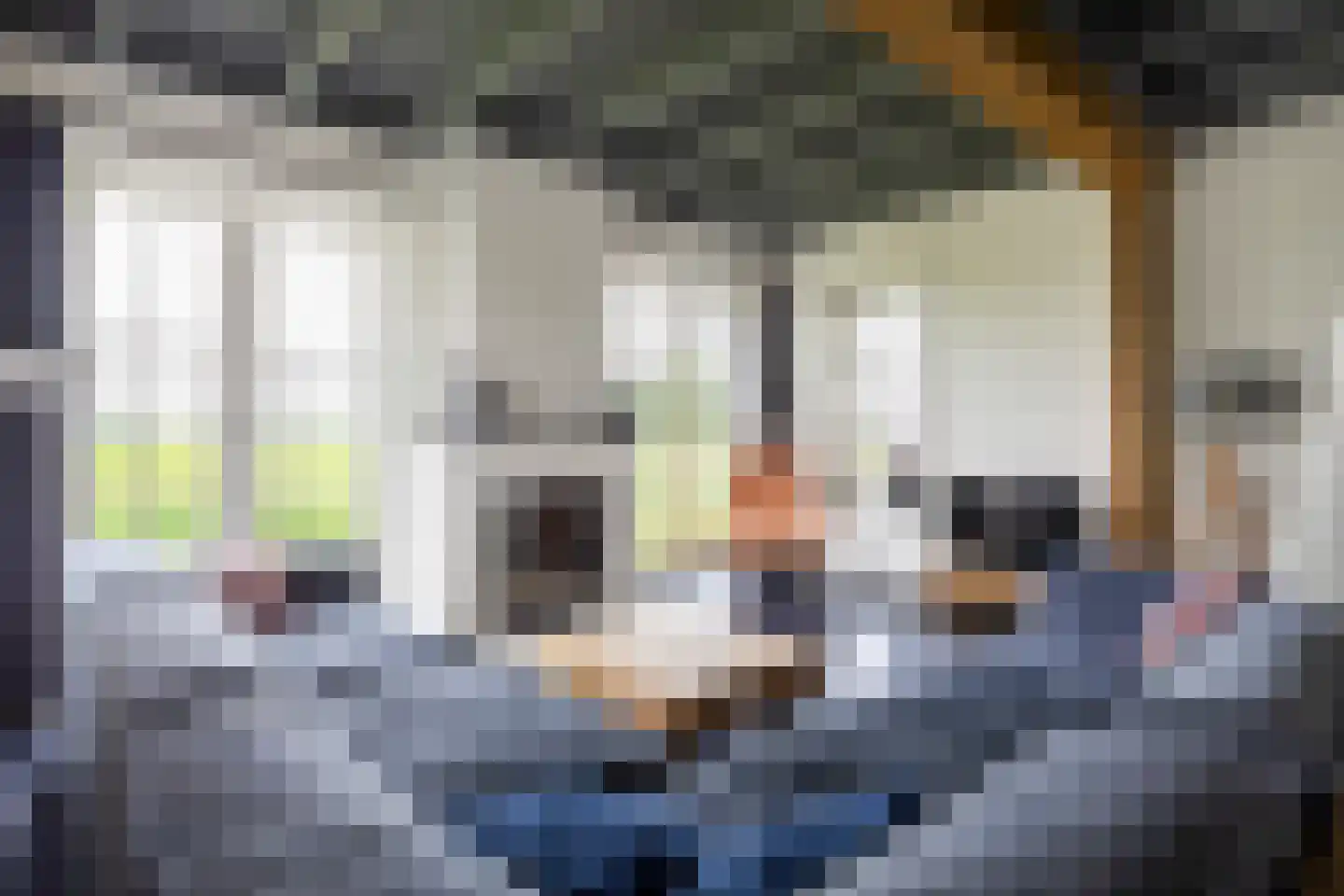 Harkemastraat 19 Bedum thumbnail 20