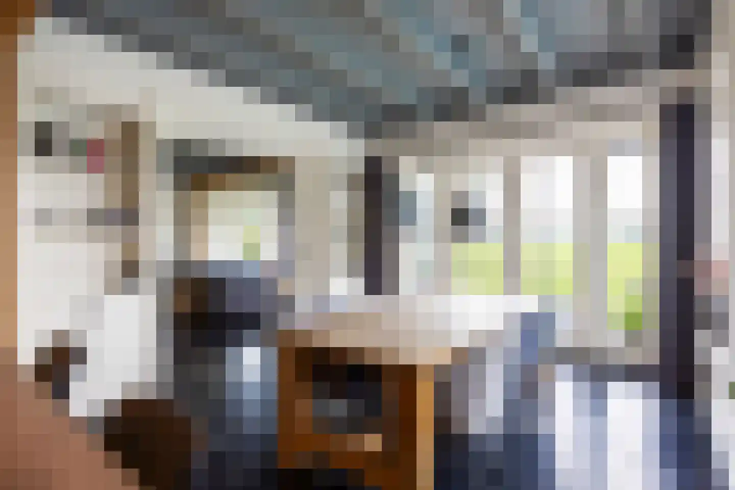 Harkemastraat 19 Bedum thumbnail 29