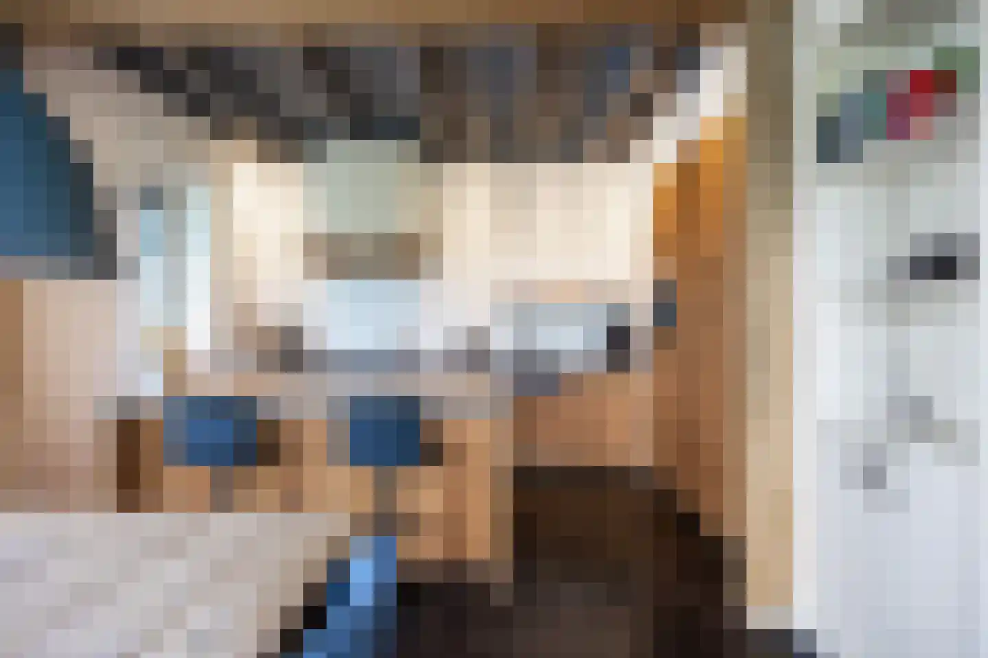 Harkemastraat 19 Bedum thumbnail 33