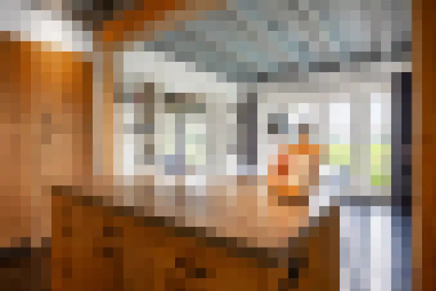 Harkemastraat 19 Bedum thumbnail 35