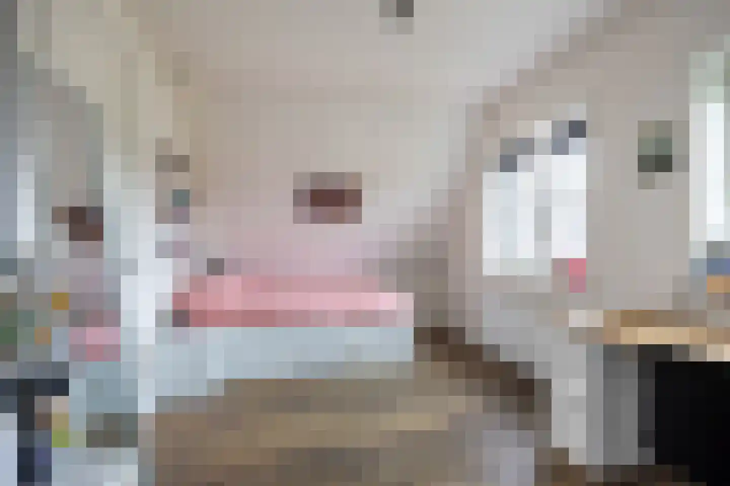 Harkemastraat 19 Bedum thumbnail 47