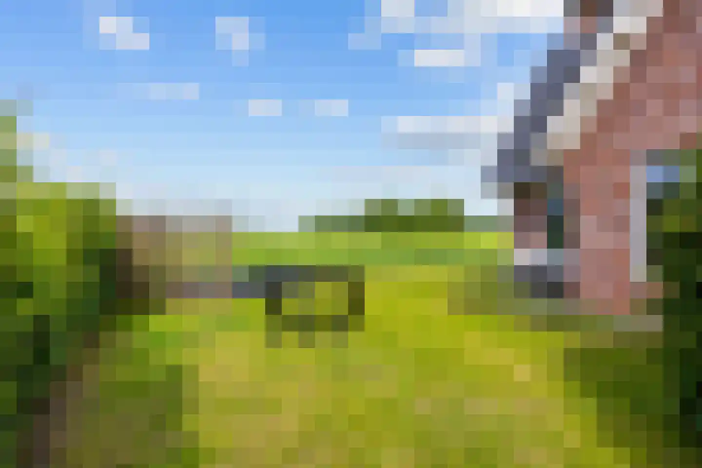 Harkemastraat 19 Bedum thumbnail 67