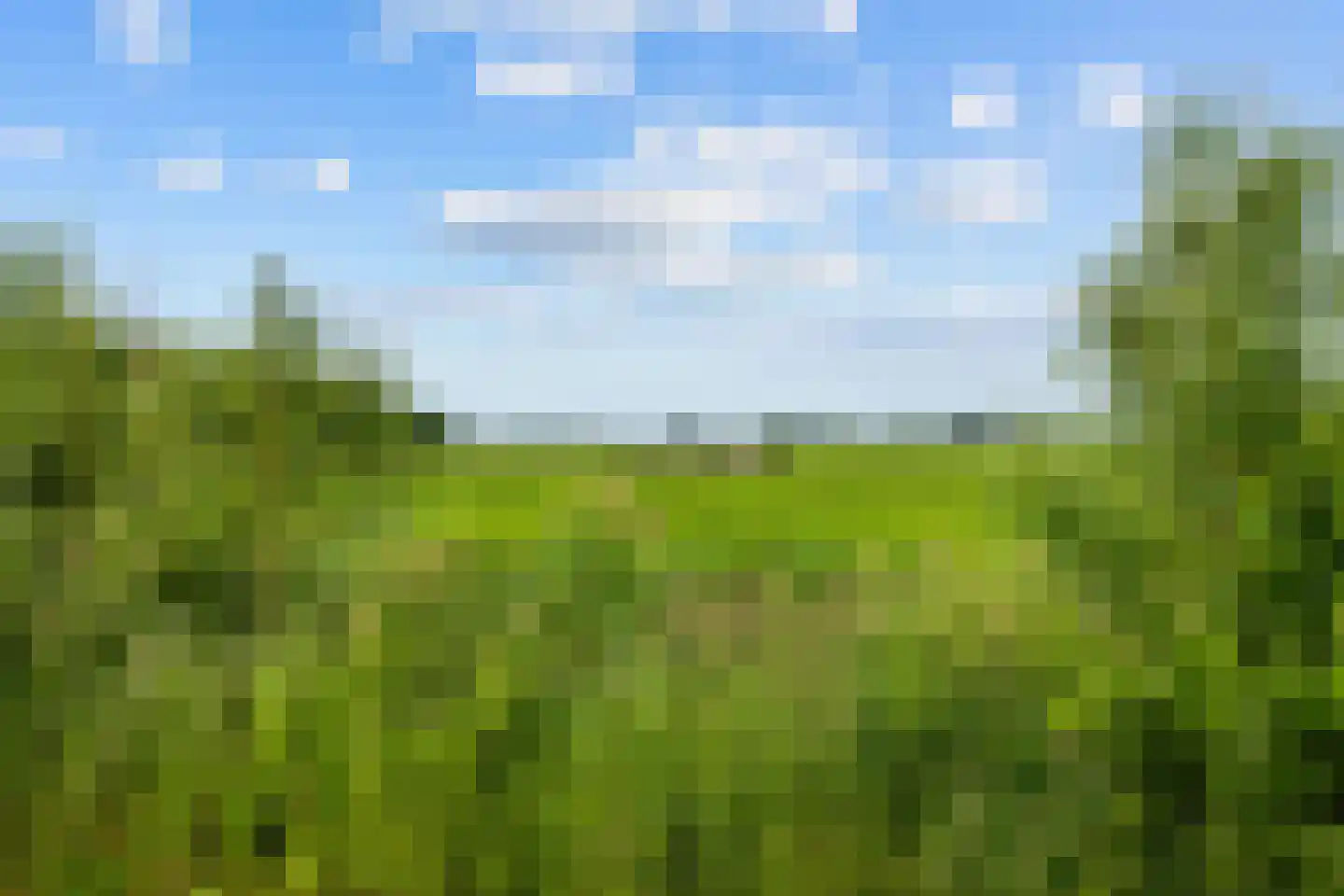 Harkemastraat 19 Bedum thumbnail 68