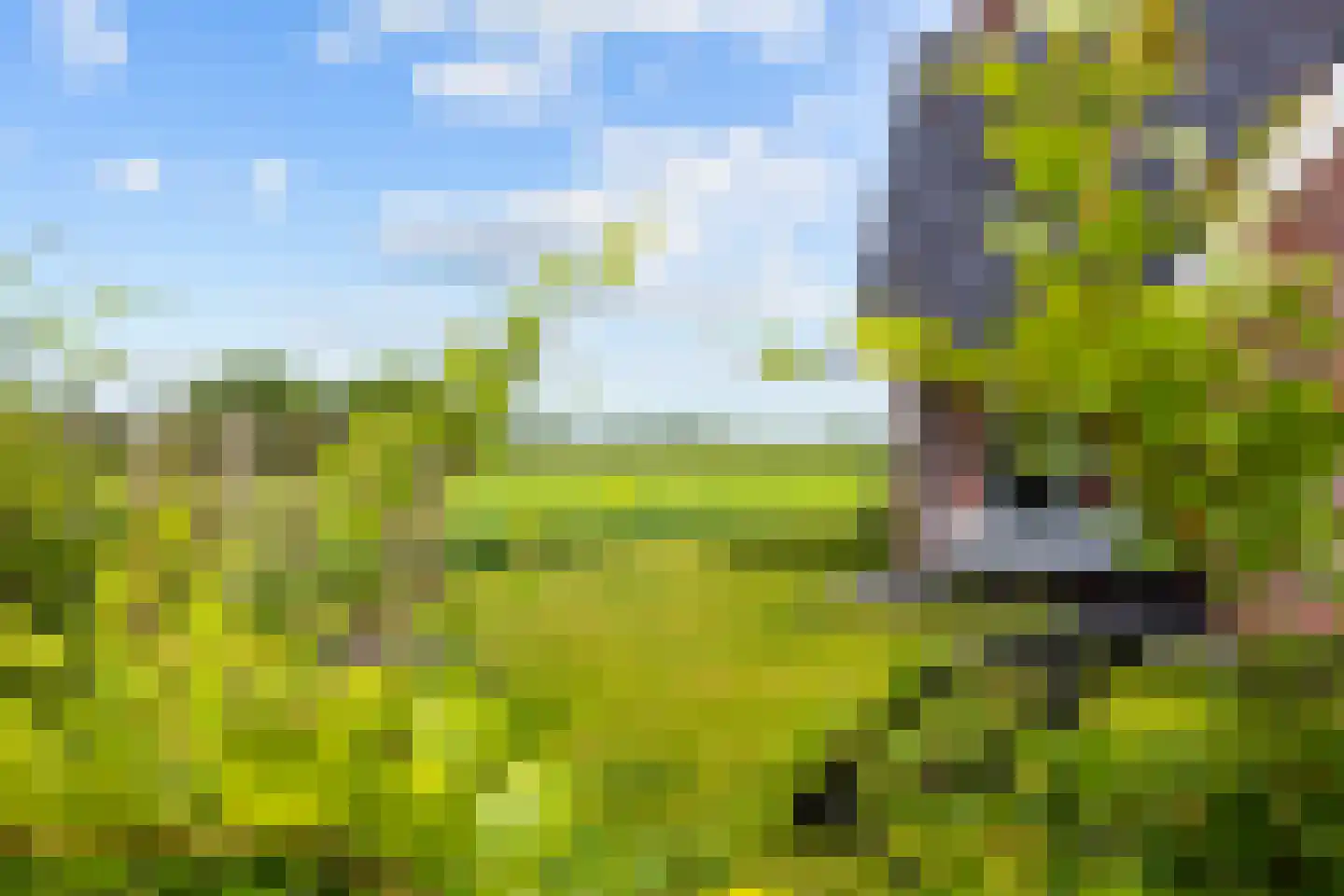 Harkemastraat 19 Bedum thumbnail 7