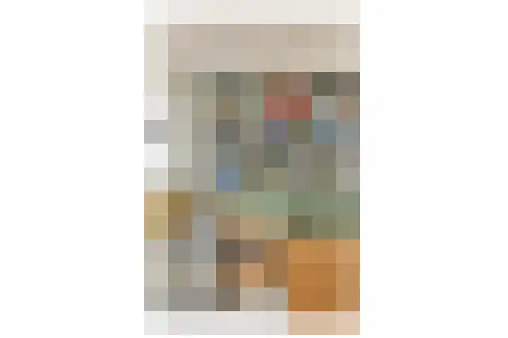 Harkje Benthempad 19 Schiedam thumbnail 10