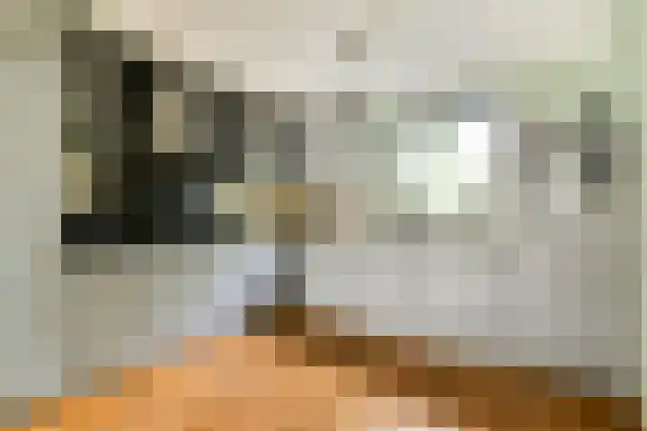 Harkje Benthempad 19 Schiedam thumbnail 14
