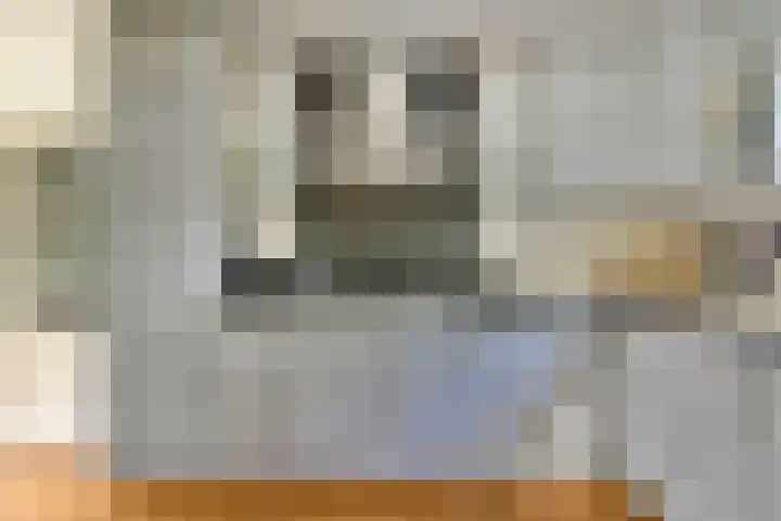 Harkje Benthempad 19 Schiedam thumbnail 15