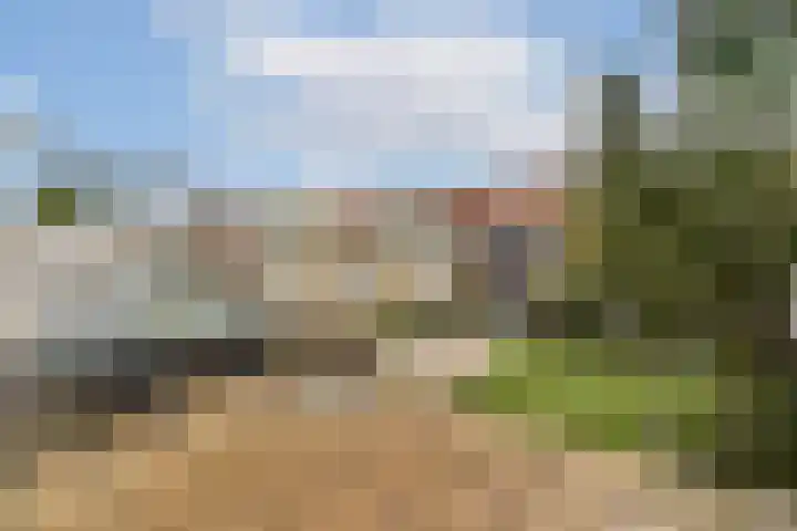 Harkje Benthempad 19 Schiedam thumbnail 16