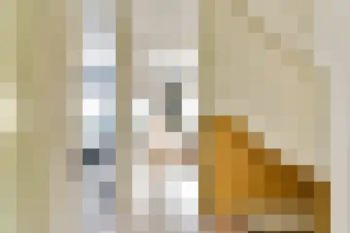 Harkje Benthempad 19 Schiedam thumbnail 18