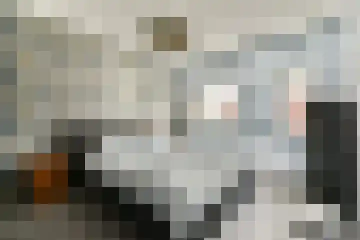 Harkje Benthempad 19 Schiedam thumbnail 19