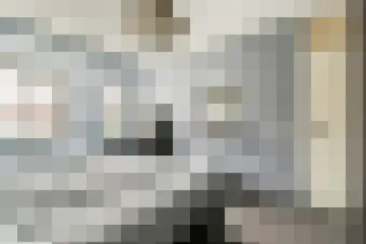 Harkje Benthempad 19 Schiedam thumbnail 20
