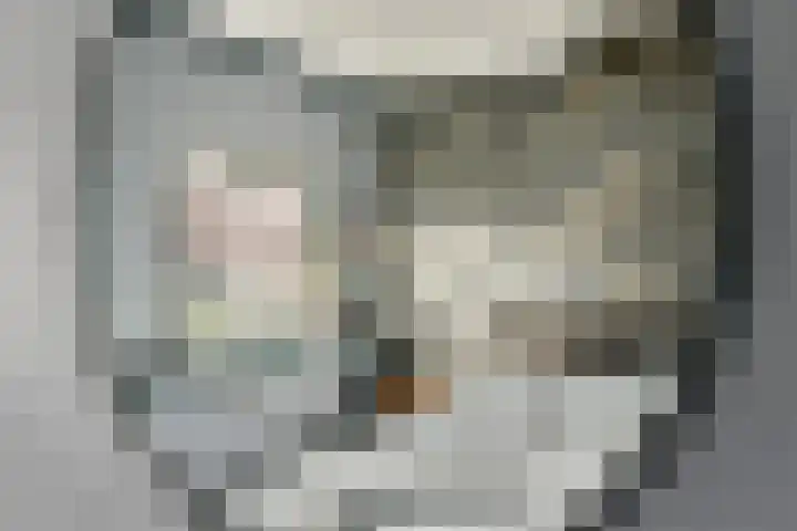 Harkje Benthempad 19 Schiedam thumbnail 21