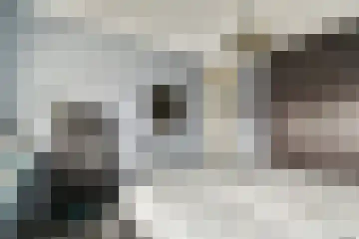Harkje Benthempad 19 Schiedam thumbnail 22