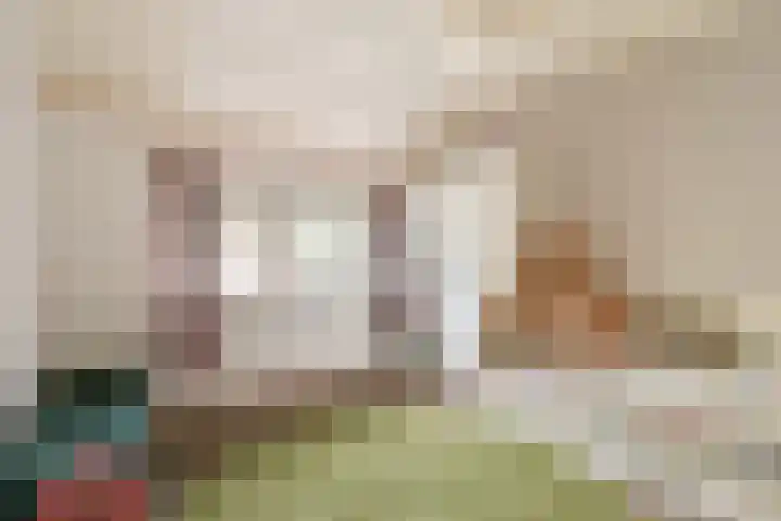 Harkje Benthempad 19 Schiedam thumbnail 24