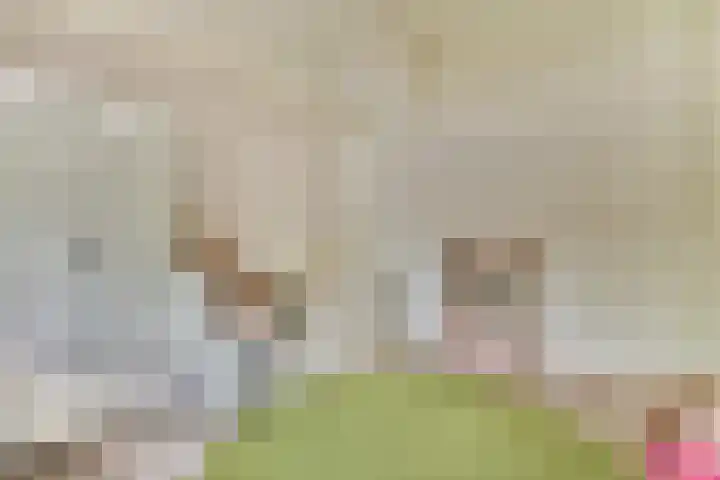 Harkje Benthempad 19 Schiedam thumbnail 25