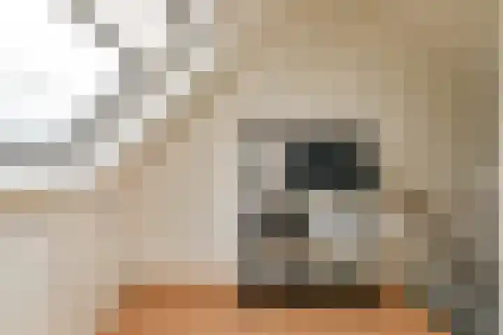 Harkje Benthempad 19 Schiedam thumbnail 28