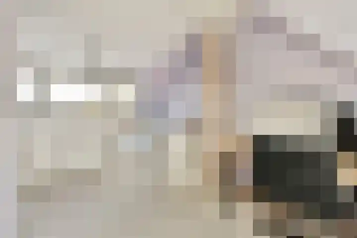 Harkje Benthempad 19 Schiedam thumbnail 29