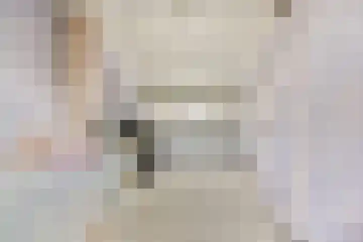 Harkje Benthempad 19 Schiedam thumbnail 30